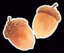 本次盘活的租赁住房及后续投资的保障性